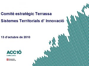 Comit estratgic Terrassa Sistemes Territorials d Innovaci 13