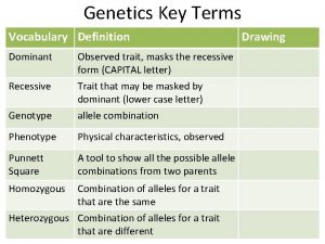 Genetics Key Terms Vocabulary Definition Dominant Observed trait