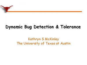 Dynamic Bug Detection Tolerance Kathryn S Mc Kinley