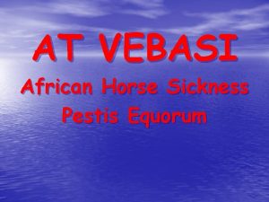 AT VEBASI African Horse Sickness Pestis Equorum At