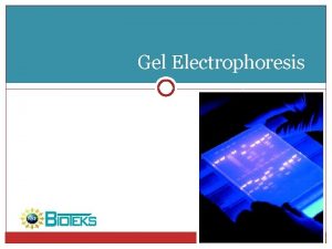 Gel Electrophoresis What is Gel Electrophoresis A method