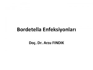 Bordetella Enfeksiyonlar Do Dr Arzu FINDIK Etiyoloji Alcaligenaceae