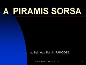 A PIRAMIS SORSA dr Selmeczi Kamill FAKOOSZ E