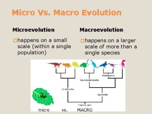 Micro Vs Macro Evolution Microevolution Macroevolution happens on