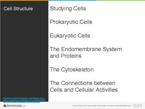 Cell Structure Studying Cells Prokaryotic Cells Eukaryotic Cells