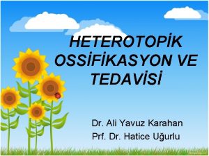 HETEROTOPK OSSFKASYON VE TEDAVS Dr Ali Yavuz Karahan