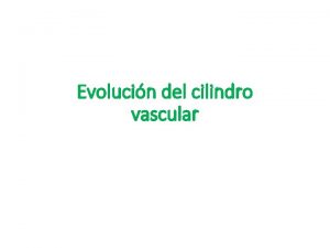 Evolucin del cilindro vascular Estele estela es el