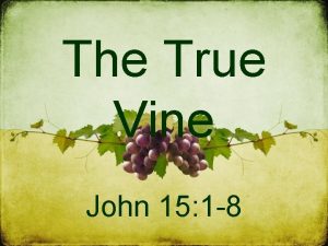 The True Vine John 15 1 8 Symbols