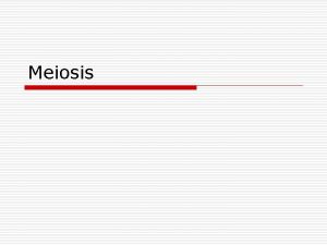 Meiosis Meiosis o A process of reduction division