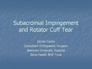 Subacromial Impingement and Rotator Cuff Tear Adrian Carlos