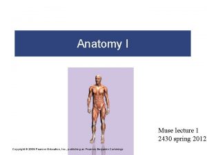 Anatomy I Muse lecture 1 2430 spring 2012