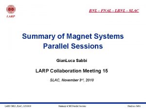 BNL FNAL LBNL SLAC Summary of Magnet Systems