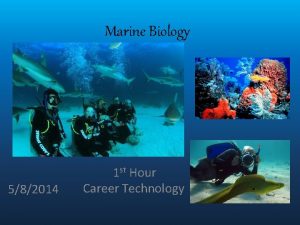 Marine Biology 582014 1 st Hour Career Technology