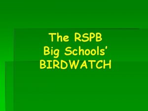 The RSPB Big Schools BIRDWATCH The Big Schools
