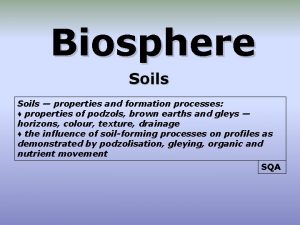 Biosphere Soils properties and formation processes properties of