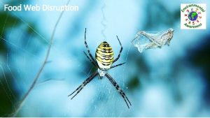 Food Web Disruption What is a food web