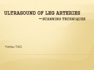ULTRASOUND OF LEG ARTERIES SCANNING TECHNIQUES Yizhou TAO