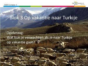 Blok 3 Op vakantie naar Turkije Deelvraag Wat
