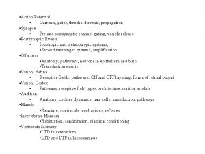 Action Potential Currents gates threshold events propagation Synapse