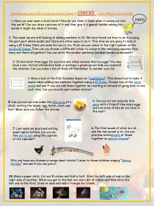 Minibeasts and Life Cycles Activity Sheet CHICKS wc
