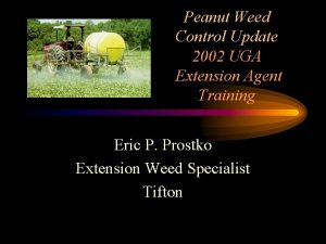 Peanut Weed Control Update 2002 UGA Extension Agent