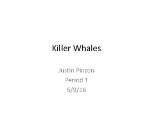 Killer Whales Justin Pinzon Period 1 5916 Types