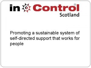 Promoting a sustainable system of selfdirected support that