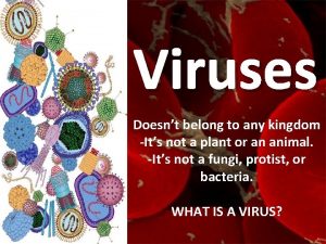 Viruses Doesnt belong to any kingdom Its not