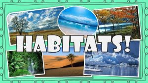 Habitats LI To identify habitats Habitats A habitat