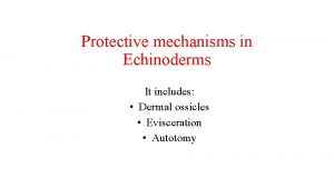 Protective mechanisms in Echinoderms It includes Dermal ossicles