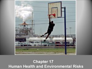 Chapter 17 Human Health and Environmental Risks Risks