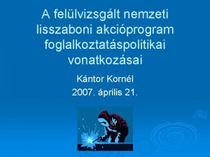 A fellvizsglt nemzeti lisszaboni akciprogram foglalkoztatspolitikai vonatkozsai Kntor