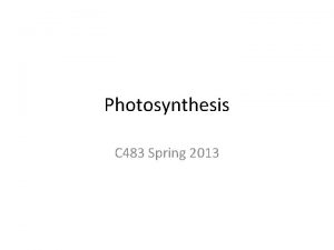 Photosynthesis C 483 Spring 2013 1 What structural