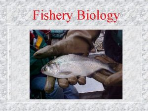 Fishery Biology Fisheries Management Provide people with a