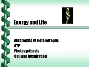 Energy and Life Autotrophs vs Heterotrophs ATP Photosynthesis