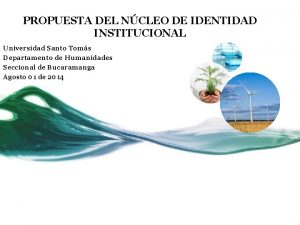 PROPUESTA DEL NCLEO DE IDENTIDAD INSTITUCIONAL Universidad Santo