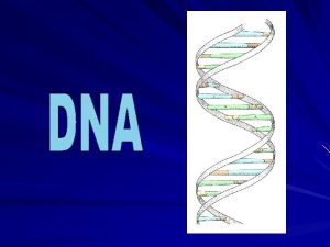 DNA STURUCTURE DNA 2 DNA stands for deoxyribose