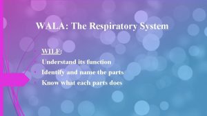 WALA The Respiratory System WILF Understand its function