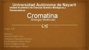 Universidad Autnoma de Nayarit Unidad Acadmica de Ciencias