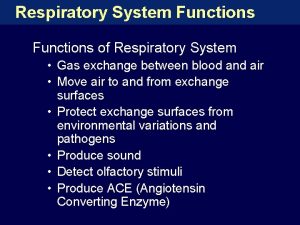 Respiratory System Functions of Respiratory System Gas exchange