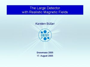 The Large Detector with Realistic Magnetic Fields Karsten