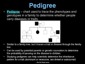 Pedigree Pedigree chart used to trace the phenotypes