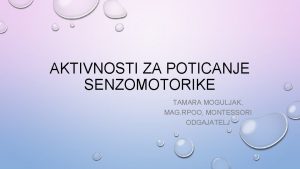 AKTIVNOSTI ZA POTICANJE SENZOMOTORIKE TAMARA MOGULJAK MAG RPOO