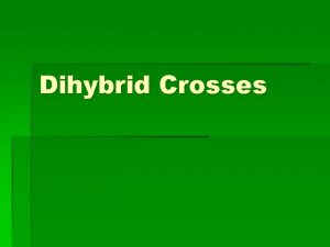 Dihybrid Crosses Review of Monohybrid Crosses Remember monohybrid