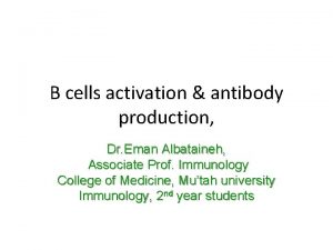 B cells activation antibody production Dr Eman Albataineh