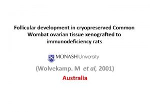 Follicular development in cryopreserved Common Wombat ovarian tissue