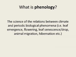 What is phenology The science of the relations