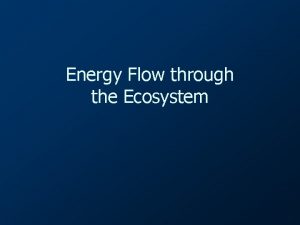 Energy Flow through the Ecosystem Energy flows from