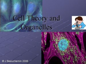 Cell Theory and Organelles J Beauchemin 2006 Early