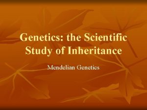 Genetics the Scientific Study of Inheritance Mendelian Genetics